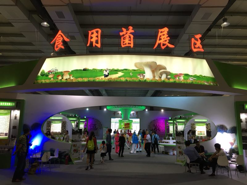 Z6尊龙·凯时(中国)-官方网站
